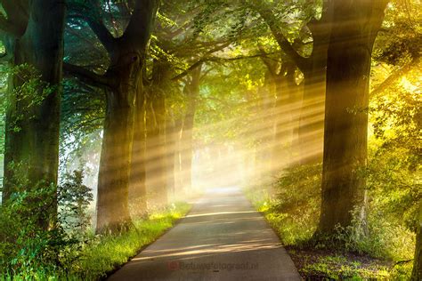 dream pathway photos